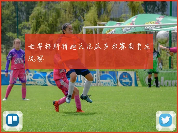 世界杯科特迪瓦厄瓜多尔赛前首发观察