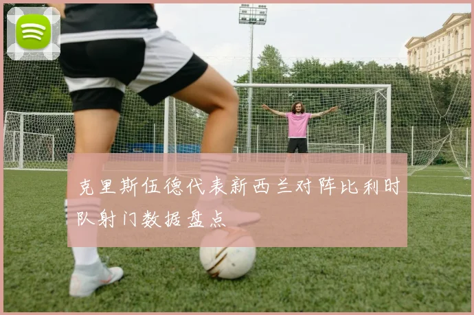 克里斯伍德代表新西兰对阵比利时队射门数据盘点