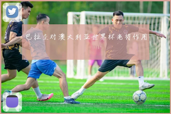 巴拉圭对澳大利亚世界杯老将作用