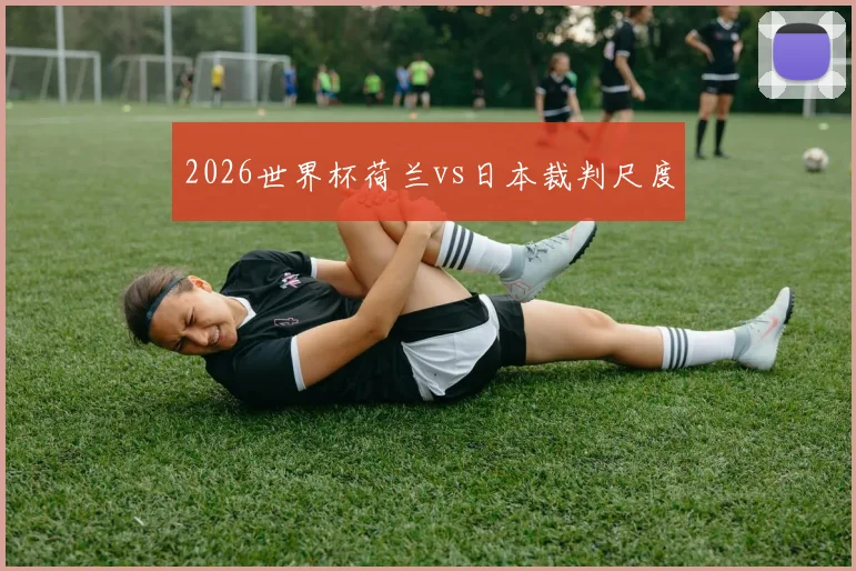 2026世界杯荷兰vs日本裁判尺度