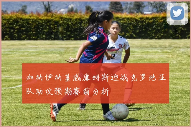 加纳伊纳基威廉姆斯迎战克罗地亚队助攻预期赛前分析
