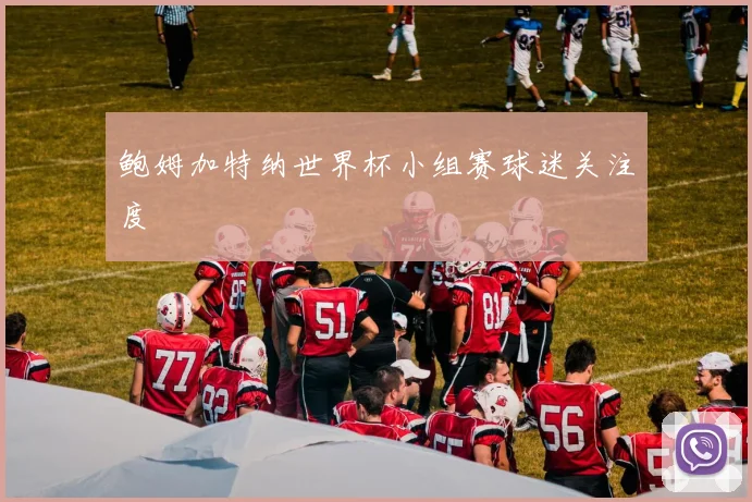 鲍姆加特纳世界杯小组赛球迷关注度