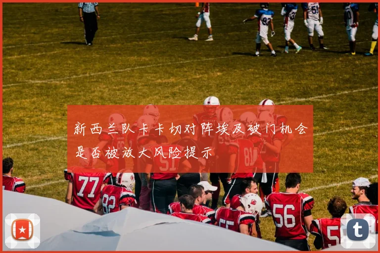 新西兰队卡卡切对阵埃及破门机会是否被放大风险提示