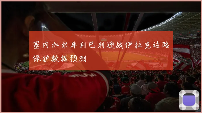塞内加尔库利巴利迎战伊拉克边路保护数据预测