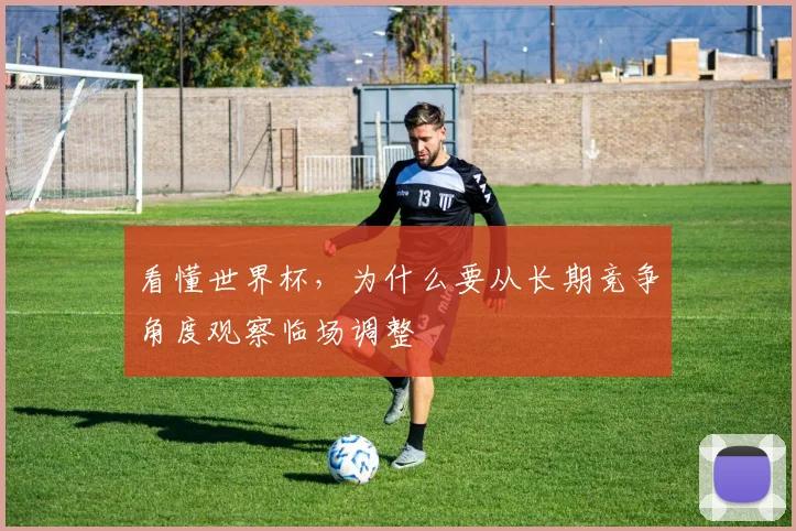 看懂世界杯，为什么要从长期竞争角度观察临场调整
